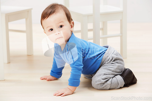 Image of Cute, crawling and portrait of baby on floor for child development, learning and youth. Young, curious and adorable with infant kid on ground of family home for growth, progress and milestone