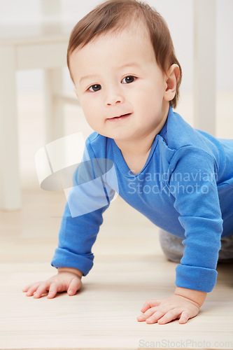 Image of Playful, crawling and portrait of baby on floor for child development, learning and youth. Young, curious and adorable with infant kid on ground of family home for growth, progress and milestone