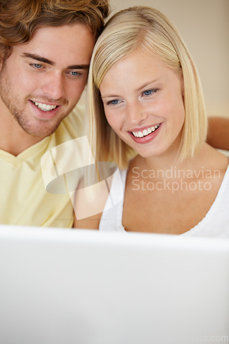 Image of Laptop, love and couple relax on a sofa with social media, movies or streaming at home together. Online shopping, search and people in a living room checking ecommerce website deal for December sale