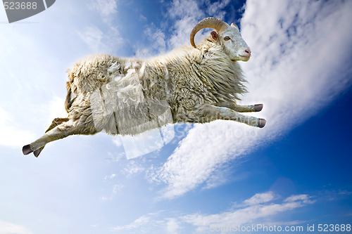 Image of Flying Sheep