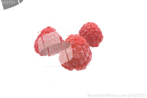 Image of raspberry