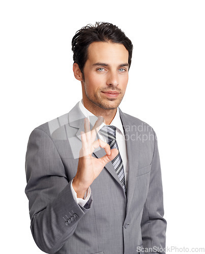 Image of Ok, hands and portrait of business man in studio for vote, review and yes feedback on white background. Corporate worker show okay for success, agreement icon and sign of support, emoji or excellence