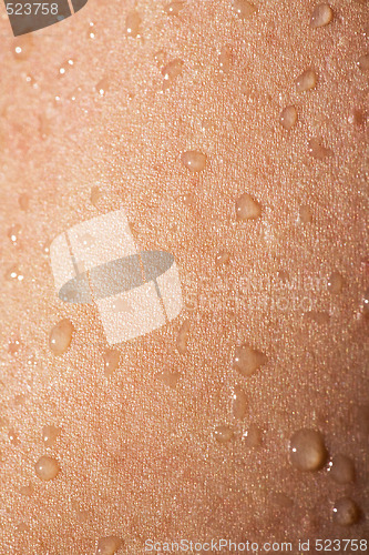 Image of Water on Skin Detail