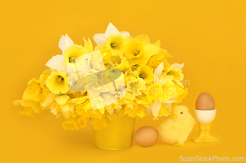 Image of Symbols of Easter and Spring with Daffodil Flowers