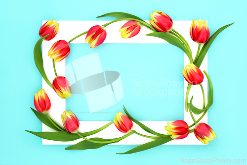 Image of Red and Yellow Tulip Flower Spring Easter Background Frame