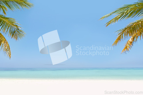 Image of Landscape, ocean and beach with tropical palm tree in summer, mockup space or blue sky background by island. Nature, leaves and water in sea for sustainability, holiday and sunshine in environment