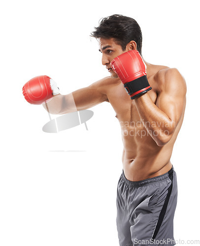 Image of Man is shirtless, boxing and athlete with fitness and muscle in studio, sport and workout for health on white background. Exercise, training and fighter with gloves, body and abs with testosterone