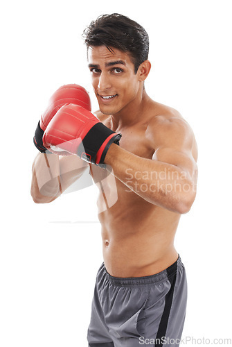 Image of Boxer, man and shirtless in portrait with sports for fitness, health and martial arts on white background. Strong athlete with muscle, abs and boxing gloves, MMA training and exercise in studio