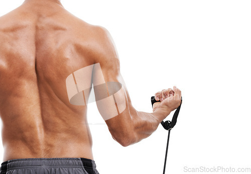 Image of Man, back and weightlifting with bicep for workout or training on a white studio background. Rear view of person or bodybuilder curling arm for strength, muscle or exercise in fitness on mockup space