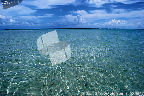 Image of Crystalline clear waters in Maragogi,  Brazil