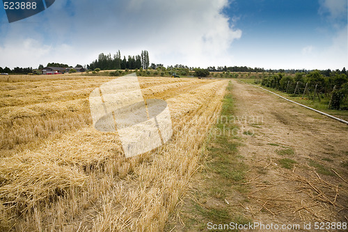 Image of Hay Field