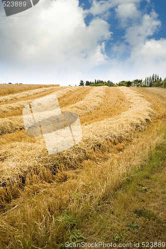 Image of Hay Field