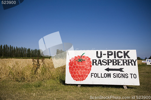 Image of U Pick Rasberry Sign