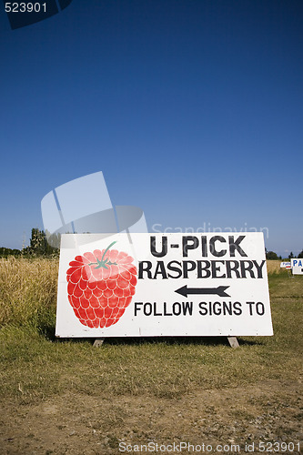 Image of U Pick Rasberry Sign