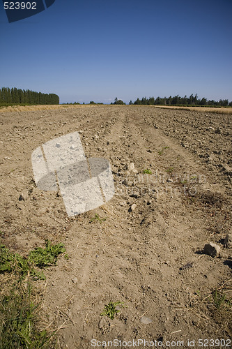 Image of Ploughed Field