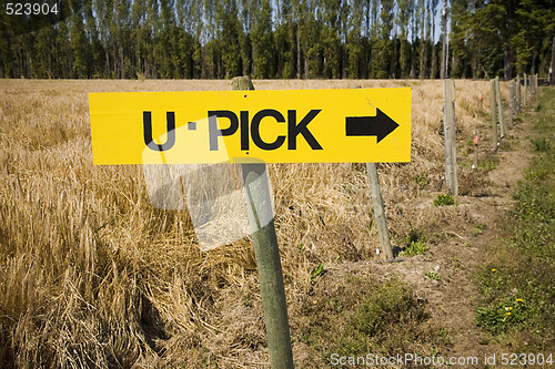 Image of U Pick Sign