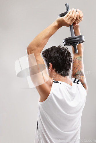 Image of Fitness, overhead or man in dumbbell workout or training for wellness in studio on grey background. Strong athlete, skullcrusher or back of bodybuilding exercise for power, body challenge or weights