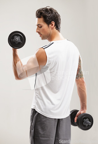 Image of Fitness, back or man in dumbbell workout or training for wellness in studio on grey background. Strong male athlete, curl or bodybuilding exercise for power, body challenge or weights for performance