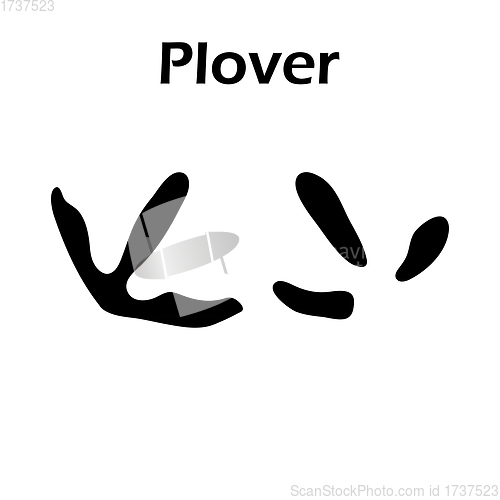 Image of Plover Footprint