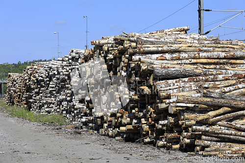 Image of Wood Piles at Railway Station