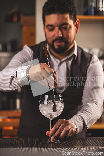 Image of Professional bartender at work