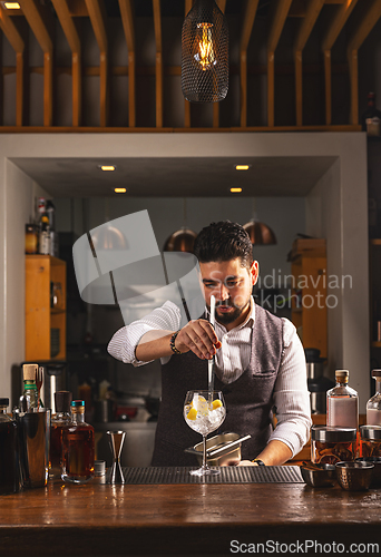 Image of Professional bartender at work