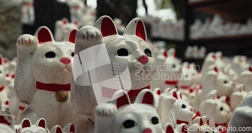 Image of Lucky cat, religion and Shinto shrine in nature, trees and forest with wish, faith or culture environment. Animal, toys and temple for statue, worship or Buddhism with icon, symbol or wave in Japan
