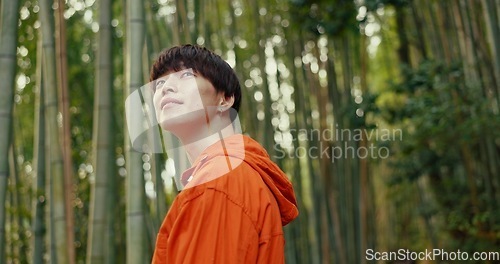 Image of Man, Japanese and forest explore or travel in bamboo woods, nature or outdoor. Male person, trees and peace thinking in summer for sunlight exercise or wellness trip experience, adventure or holiday