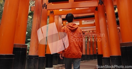 Image of Man, religion and walk by shinto torii gate, back and culture for thinking, ideas and nature in forest. Person, statue and memory on spiritual journey, Fushimi Inari shrine or architecture in Kyoto