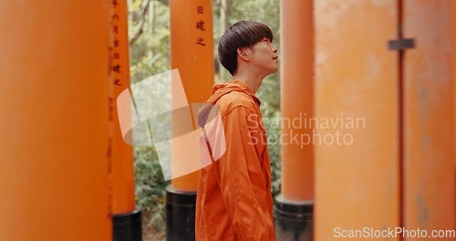 Image of Japanese man, walk and torii gate for religion in shinto culture for thinking, ideas and nature in forest. Person, statue and memory on spiritual journey, Fushimi Inari shrine and faith in Kyoto