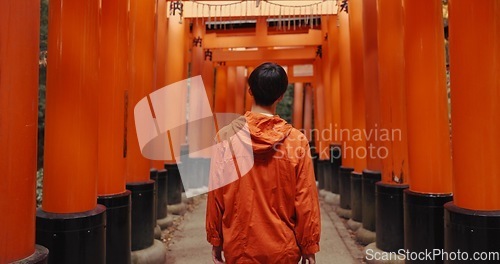 Image of Man, outdoor and walk by shinto torii gate, back and culture for thinking, ideas and nature in forest. Person, statue and memory on spiritual journey, Fushimi Inari shrine and architecture in Kyoto