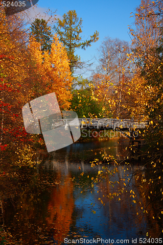 Image of Autumn