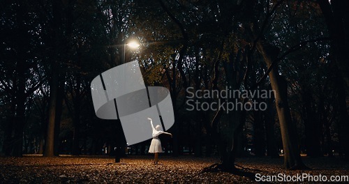 Image of Ballet, dance and woman outdoor at night in Japan with street light, trees and creative art. Ballerina, performance and talent in dark Kyoto forest, woods or garden with spotlight in nature or park