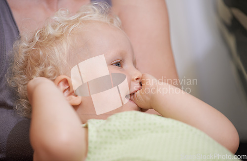 Image of Children, baby and kid suck thumb in home, adorable or cute innocent child with parent in house. Young blonde toddler, finger or hand in mouth and facial expression of healthy little girl in comfort