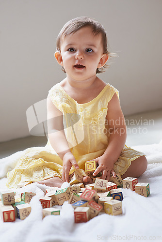 Image of Baby, girl and toddler, blocks as toys for learning, playing at home for education and alphabet. Growth, early childhood development and young kid with educational activity, playtime and montessori