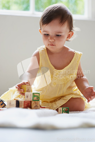 Image of Baby, girl and kid, blocks as toys for learning, playing at home for education and alphabet. Growth, early childhood development and toddler with educational activity, playtime and montessori