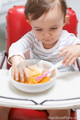 Image of Baby, high chair and eating food in bowl for meal, nutrition or healthy porridge at home. Young, cute and adorable little child, kid or toddler playing with snack for hunger, vitamins or nutrients