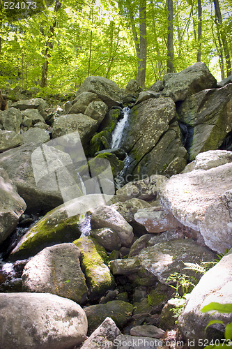 Image of Waterfall