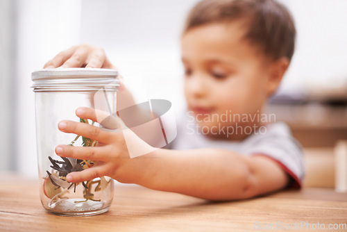 Image of Child, toys and insect or education play for growth curiosity, development or bug jar. Kid, animals and game or learning kindergarten for teaching discovery or creativity games, coordination or skill