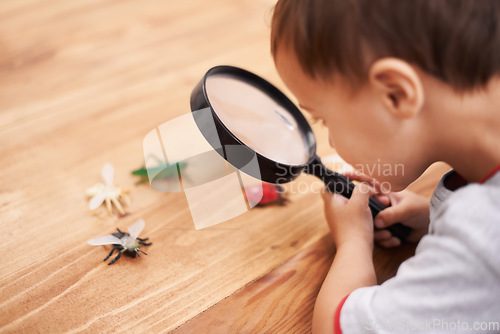 Image of Child, study and learning about insect with magnifying glass, investigation and science education. Kid, research and observe bugs in inspection check on table for biology, knowledge and development
