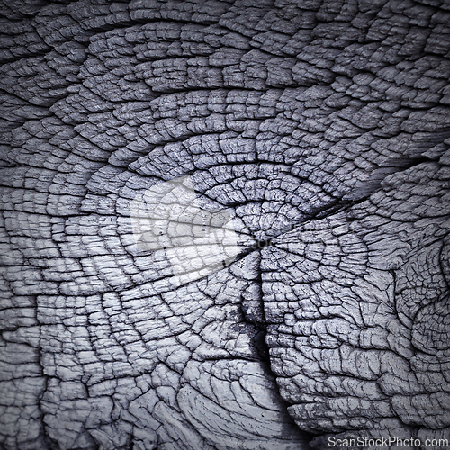 Image of interesting background section of oak beam