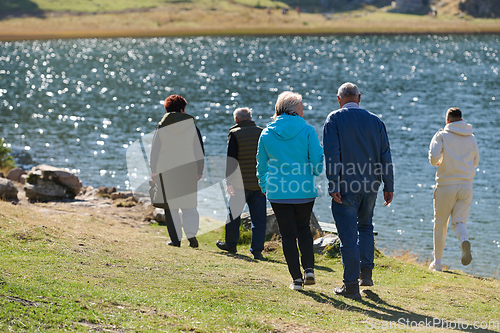 Image of Elderly couple strolling through the breathtaking beauty of nature, maintaining their vitality and serenity, embracing the joys of a health-conscious and harmonious lifestyle