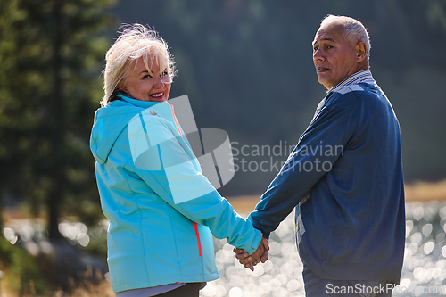 Image of Elderly couple strolling through the breathtaking beauty of nature, maintaining their vitality and serenity, embracing the joys of a health-conscious and harmonious lifestyle