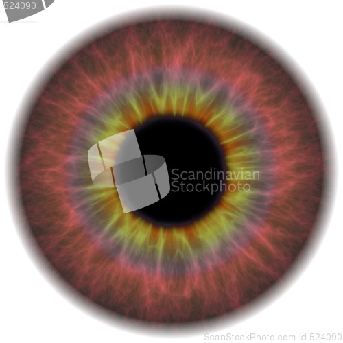 Image of Eye Iris