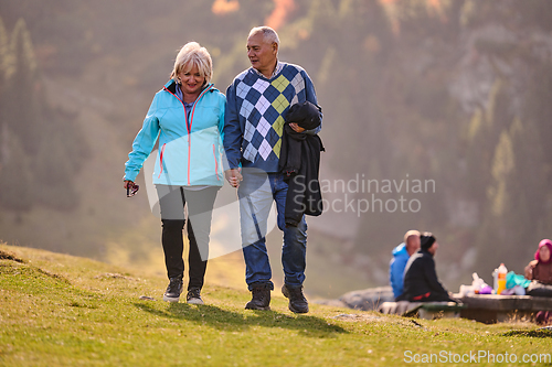 Image of Elderly couple strolling through the breathtaking beauty of nature, maintaining their vitality and serenity, embracing the joys of a health-conscious and harmonious lifestyle