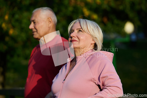 Image of Elderly couple strolling through the breathtaking beauty of nature, maintaining their vitality and serenity, embracing the joys of a health-conscious and harmonious lifestyle