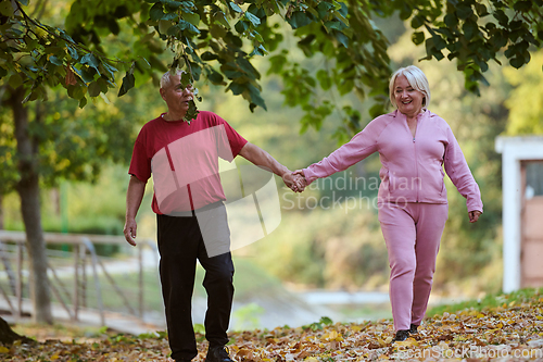 Image of Elderly couple strolling through the breathtaking beauty of nature, maintaining their vitality and serenity, embracing the joys of a health-conscious and harmonious lifestyle