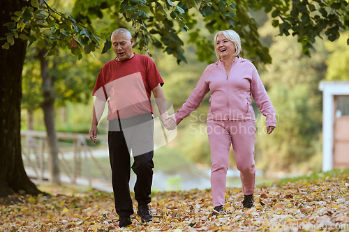 Image of Elderly couple strolling through the breathtaking beauty of nature, maintaining their vitality and serenity, embracing the joys of a health-conscious and harmonious lifestyle