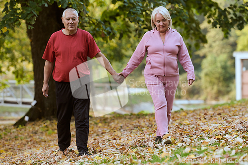 Image of Elderly couple strolling through the breathtaking beauty of nature, maintaining their vitality and serenity, embracing the joys of a health-conscious and harmonious lifestyle