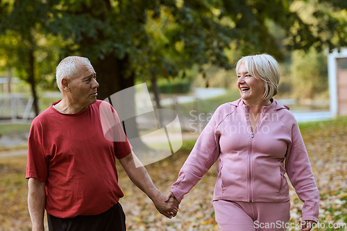 Image of Elderly couple strolling through the breathtaking beauty of nature, maintaining their vitality and serenity, embracing the joys of a health-conscious and harmonious lifestyle